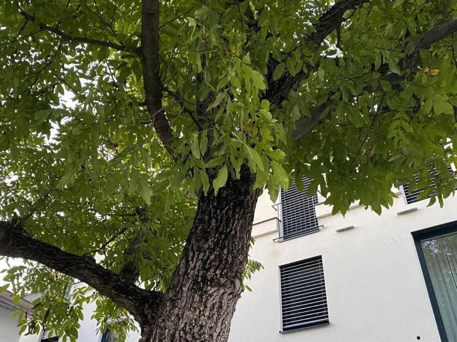 Ferienwohnung Wohnen Bahnstrasse 5 Klagenfurt am Wörthersee Exterior foto